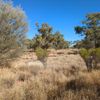 Agnes Creek 1 10/07/2024